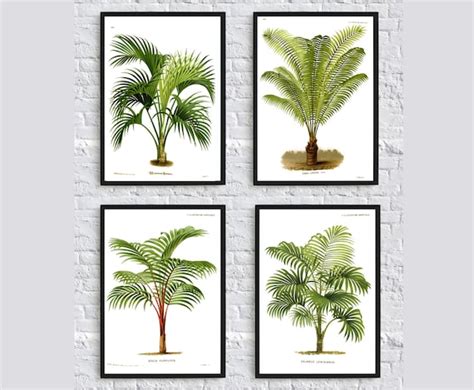Palm Tree Print Set Of 4 Palm Tree Botanical Wall Art Print Etsy