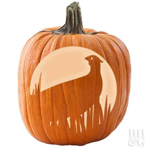 Free Woodland Creature Pumpkin Stencils Better Homes And Gardens