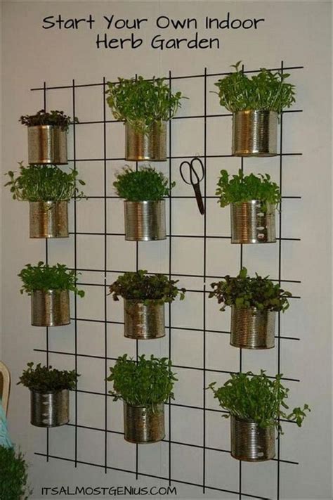 Coltivazione piante da interno resistenti. 10 idee per arredare con le piante aromatiche | Giardini verticali interni, Coltivare verdure e ...