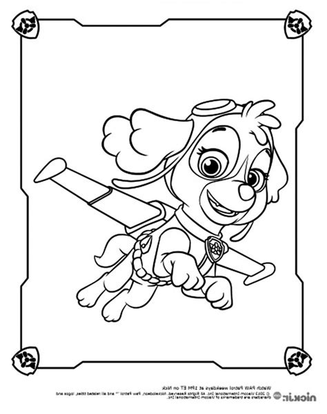8 Beau De Coloriage Pat Patrouille Tracker Photographie  Coloriage