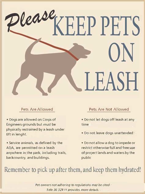 Can You Keep Your Dog Leashed