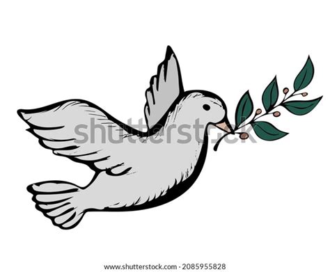 Dove Olive Branch Symbol Hope Peacevector Stock Vector Royalty Free 2085955828 Shutterstock