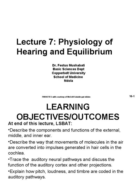 Lecture 2 Hearing And Equilibrium Physiology Pdf Ear Auditory System