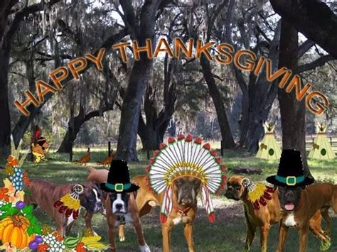 Happy Thanksgiving Happy Thanksgiving Animals Happy