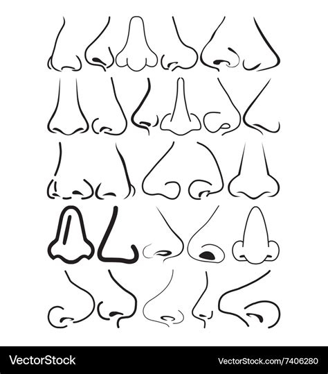 Printable Noses Printable Word Searches
