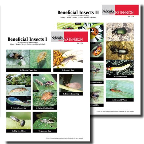 Beneficial Insects Photo Identification Guides Nebraska Extension