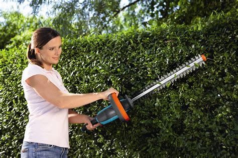 Idealerweise liegen die temperaturen bei mindestens plus fünf grad. Hecke schneiden | selbst.de