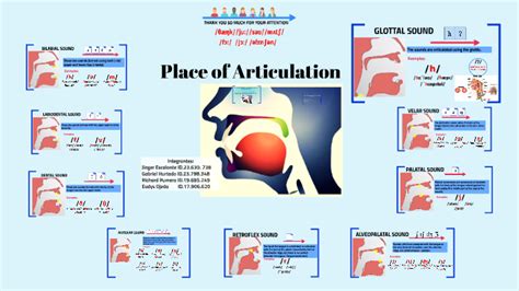 Place Of Articulation By Jinger Escalante On Prezi