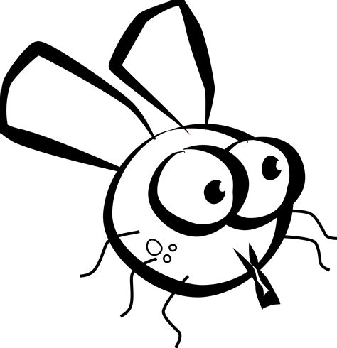 Free Cartoon Picture Of A Fly Download Free Cartoon Picture Of A Fly