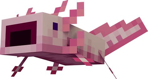 Blue Axolotl Minecraft Texture