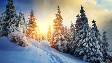 Скачать обои природа зима солнце деревья горы снег лес облака карпаты следы из раздела