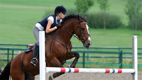 Is Horseback Riding A Sport 5 Events Provide The Answer