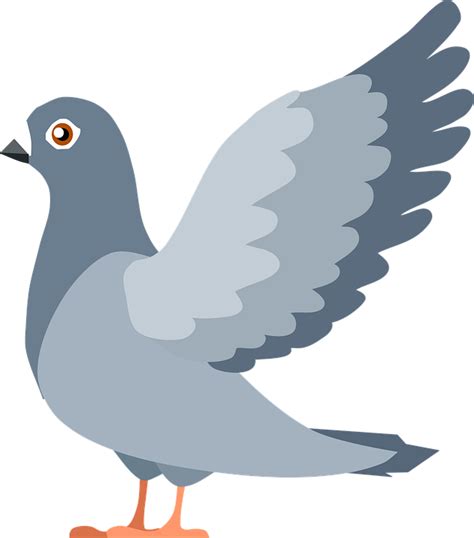 Pigeon Flying Clipart