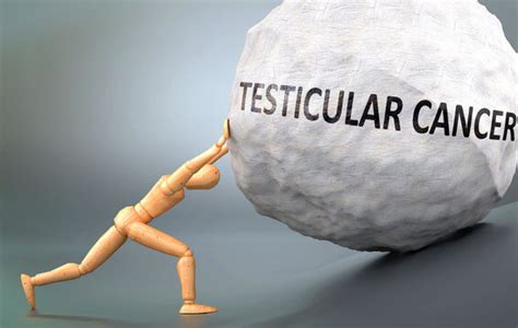 Testicular Images Browse Stock Photos Vectors And Video