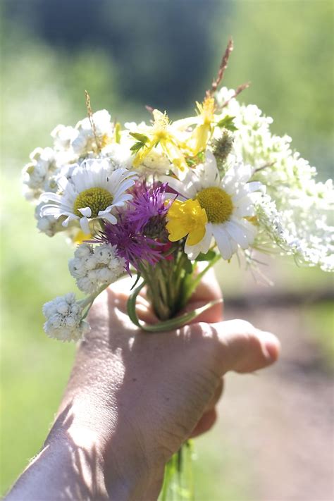 179 best wildflower cottage images on pinterest