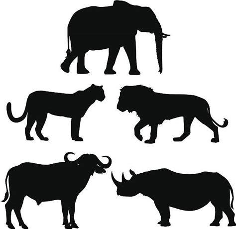 The Big Five Animals Illustrations Royalty Free Vector Graphics And Clip