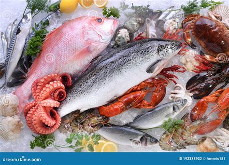 Variety Of Fresh Fish And Seafood Stock Photo Image Of Nutrition