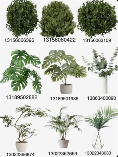 Plant Decals Dm For Removal Diy House Plans House Decals Bloxburg Decals Codes Wallpaper