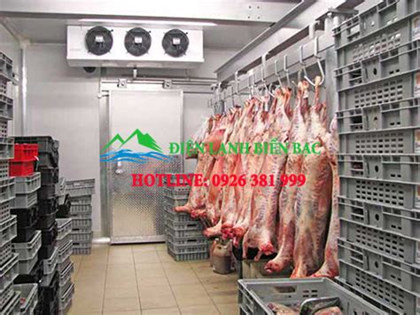 Hướng dẫn bảo quản và xử lý lạnh các loại thịt