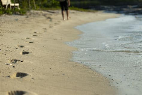Free Stock photo of Man walking on a beach with footprints ...