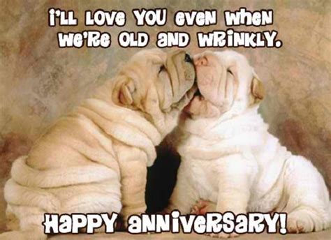 Laughter and humor are essential components of a successful anniversary celebration. 20 Wedding Anniversary Quotes For Your Husband