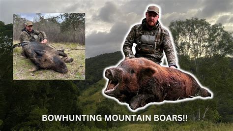 Bowhunting Mountain Boars Big Boars And Kill Shot Montage At The End