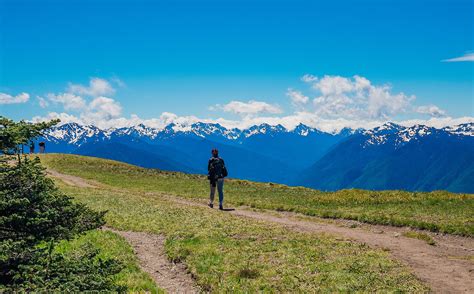 Hurricane Hill Olympic National Park Hike 2552 Next Stop Adventure