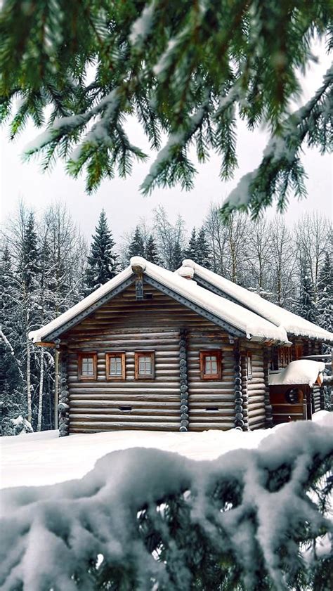 Snowy Log Cabin In The Fir Forest Wallpaper Backiee