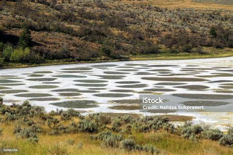 Spotted Lake Osoyoos Similkameen Valley Stock Photo Download Image