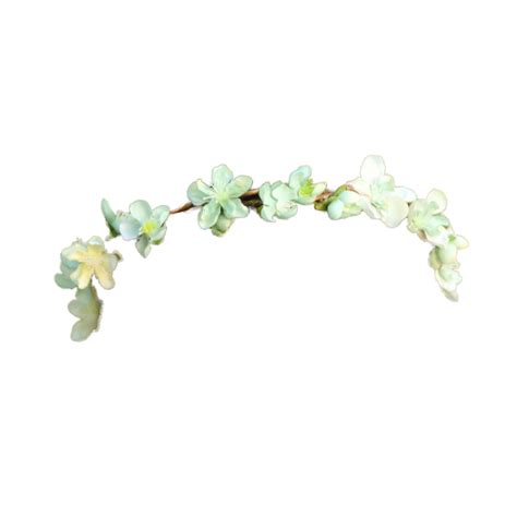 Crown Flower Wreath Garland Headband - Tumblr Transparent Flower Crown gambar png