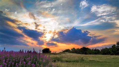 Photos Nature Sky Fields Sunrise And Sunset Clouds 1366x768