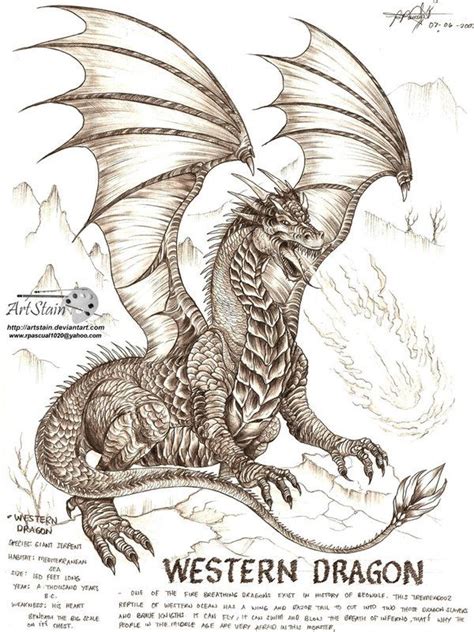 Western Dragon By Artstain On Deviantart Mythical Creatures Art