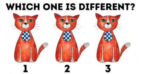 Only Geniuses Are Able To Find The Differences In These 15 Pictures