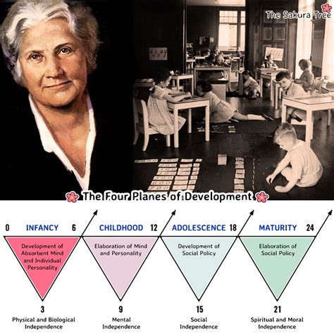 Maria Montessoris Four Planes Of Development
