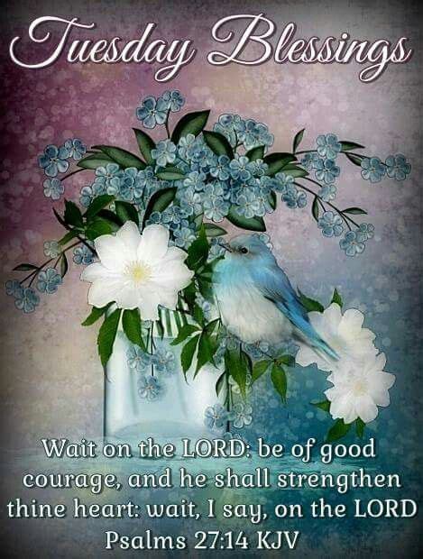You have probably seen the happy tuesday morning blessings photo on any of your favorite social networking sites, such. Tuesday Blessings~~J~ Psalms 27:14 KJV | Good morning ...