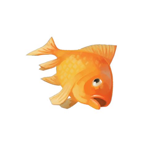 Goldfish Png Transparent Image Download Size 512x512px
