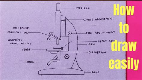 How To Draw Microscope Diagram For Beginners Step By Step