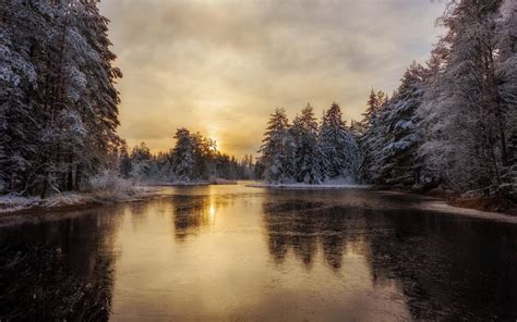 Download Wallpapers Forest Winter Snow Morning Frozen River Ice
