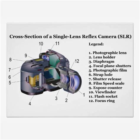How Cameras Work Single Lens Reflex Photographer Tips