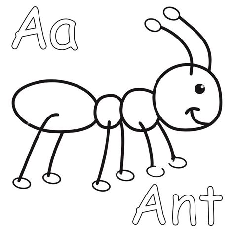 Insect coloring pages, Toddler coloring book, Animal coloring pages