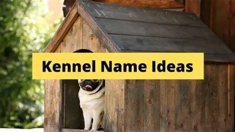 150kennel Name Ideas