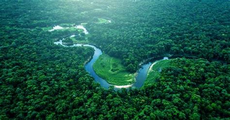 The Amazon Rainforest Is About To Cross An Irreversible Threshold That