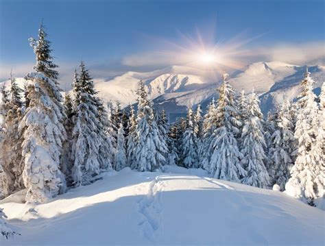 Beautiful Winter Landscape In The Mountains Stock Photo Colourbox