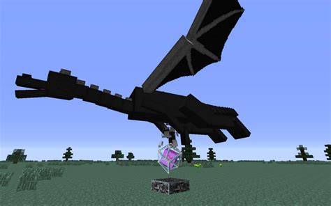 Search results for ender dragon. How I can have an EnderDragon as a pet? Minecraft Blog