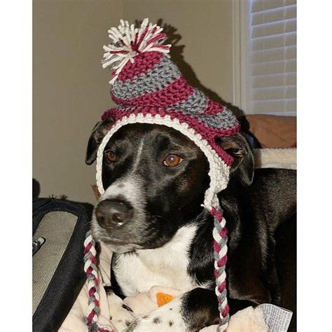 Crochet Doggie Hat Pdf Pattern For Large Dogs Crochet Hats