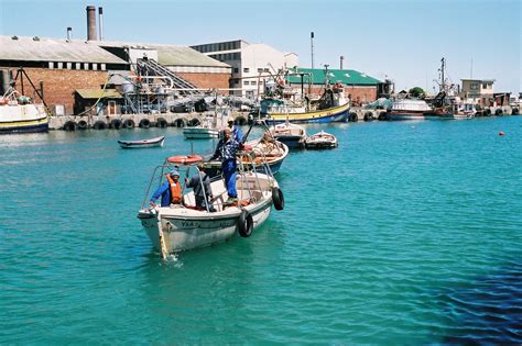 Filelamberts Bay Harbour West Coast South Africa