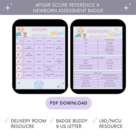 Nrp Reference Card Etsy