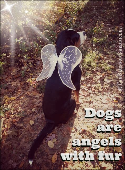 My Little Angel Dog Person Dog Angel Blind Dog