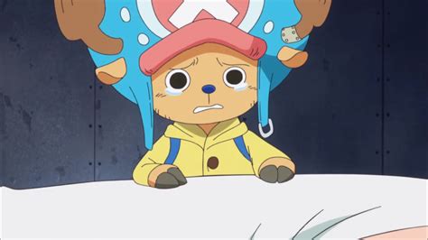 One Piece Anime Jkanime Howtobethatgirlinschooltiktok
