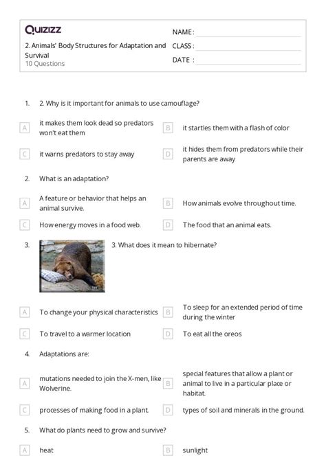 50 Natural Selection And Adaptations Worksheets For 4th Class On